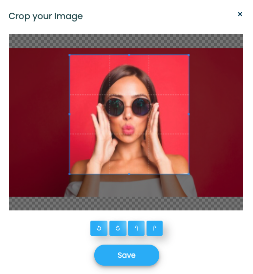 LinkBossPro custom template add profile picture - crop image