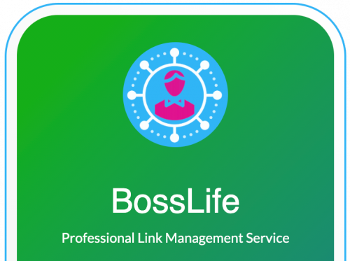 LinkBossPro biolink customize your page title description page sample image