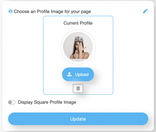 LinkBossPro customize template page settings profile picture uploaded